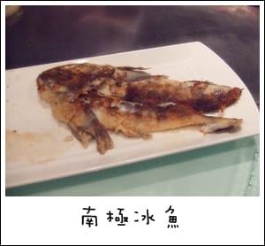 夏慕尼鐵板燒 - 第14張圖 夏慕尼鐵板燒