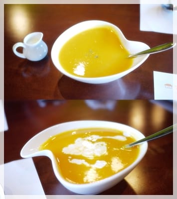 走進綠油油童話世界 – 種子樹林義式餐坊