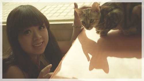 喵喵喵…愛貓人士有福啦 ~ “日光貓Sunbeam Cat”寵物餐廳