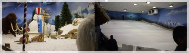 2011泰國行day5 – 河畔早餐 看蛇去 夢幻世界遊玩 - 第6張圖 2011泰國行day5 – 河畔早餐 看蛇去 夢幻世界遊玩