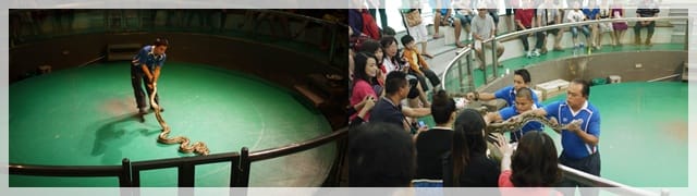 2011泰國行day5 – 河畔早餐 看蛇去 夢幻世界遊玩 - 第3張圖 2011泰國行day5 – 河畔早餐 看蛇去 夢幻世界遊玩