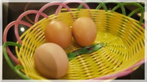 吃好飽喔 – 桐湯匙日式壽喜燒