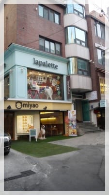 2012年韓國行day2 來一杯櫻桃可可吧 – 新沙街景&Cherry Koko服飾店