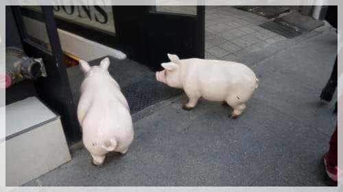 2012年韓國行day2 來一杯櫻桃可可吧 – 新沙街景&Cherry Koko服飾店