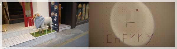 2012年韓國行day2 來一杯櫻桃可可吧 – 新沙街景&Cherry Koko服飾店