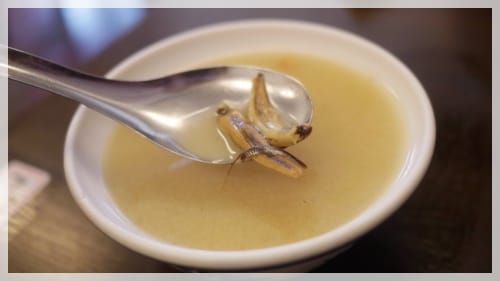 我的生日開胃菜 – 蝦仁飯+鍋燒麵+杏仁冰