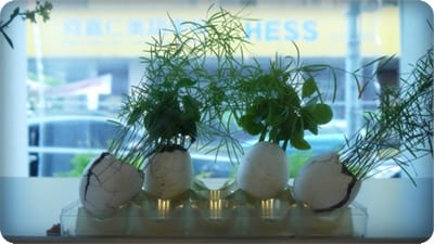 與小蘑菇初次見面 – Freeway 73 早午餐 - 第4張圖 與小蘑菇初次見面 – Freeway 73 早午餐