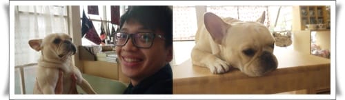令人心動的雜貨空間 – Doggie Doggie日式雜貨&輕食