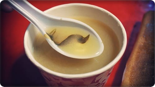這一大片是什麼?? – 宇都宮餃子