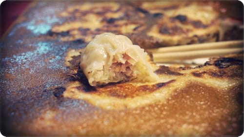 這一大片是什麼?? – 宇都宮餃子