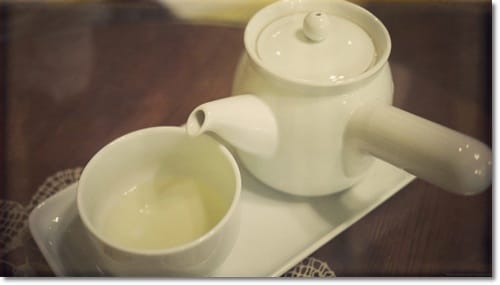 溫暖的空氣 不做作的美味 – 白色貓頭鷹
