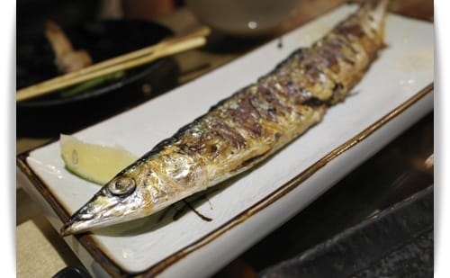 魚.jpg