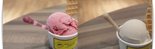 小心~~有袋鼠出沒!! – 袋袋木冰淇淋菓子製造所