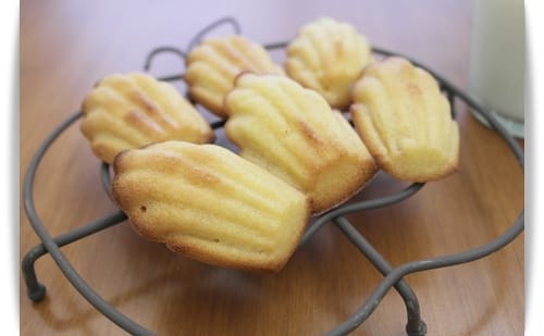 [My Little Kitchen] 在家撿貝殼趣!! – 蜂蜜橘子瑪德蓮 (Madeleine)
