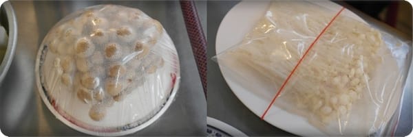 這組合真特別!! – (傳)螃蟹薑母鴨