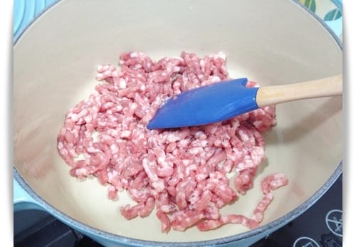 [My Little Kitchen] 泰式風味~~超好下飯!! – 打拋豬