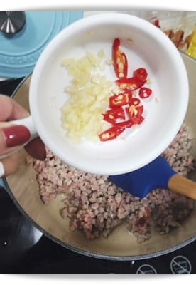 [My Little Kitchen] 泰式風味~~超好下飯!! – 打拋豬