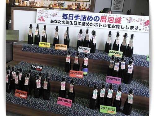 2014年 Okinawa沖繩行 Day1 – 造酒廠..樹屋..孔子廟!?