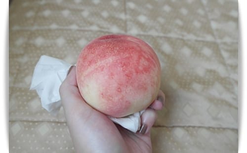2014年 Okinawa沖繩行 Day1 – 造酒廠..樹屋..孔子廟!?