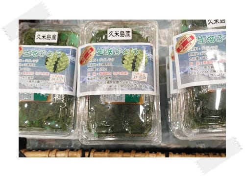 2014年 Okinawa沖繩行 Day1 – 好長的一條國際通呀!!