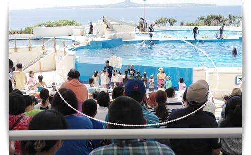 2014年 Okinawa沖繩行 Day2 – 環湖之旅..亞熱帶鳳梨果樹園..美之海水族館