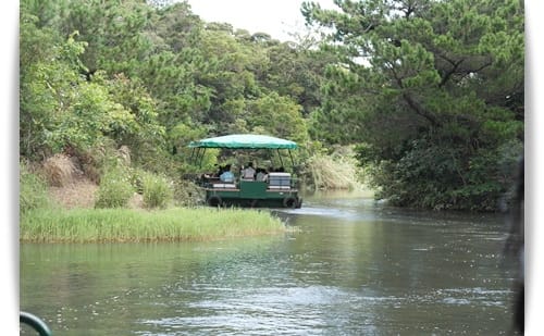 2014年 Okinawa沖繩行 Day2 – 環湖之旅..亞熱帶鳳梨果樹園..美之海水族館