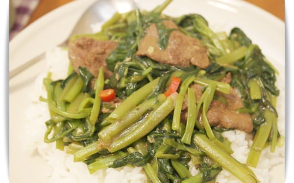 [My Little Kitchen] 深受歡迎家常飯!! – 沙茶牛肉燴飯