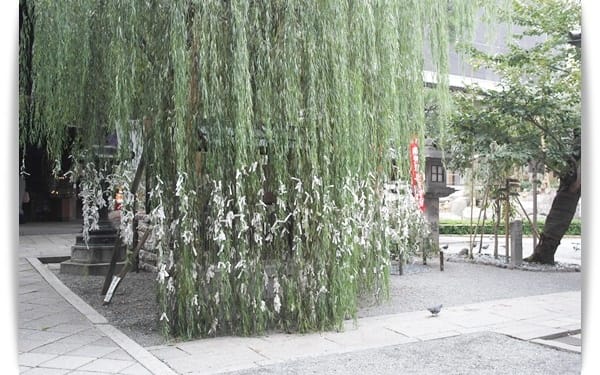 2015年京阪神奈甜蜜遊day1 ♡ 京都市區的小寺廟 – 六角堂 . 鴿子籤