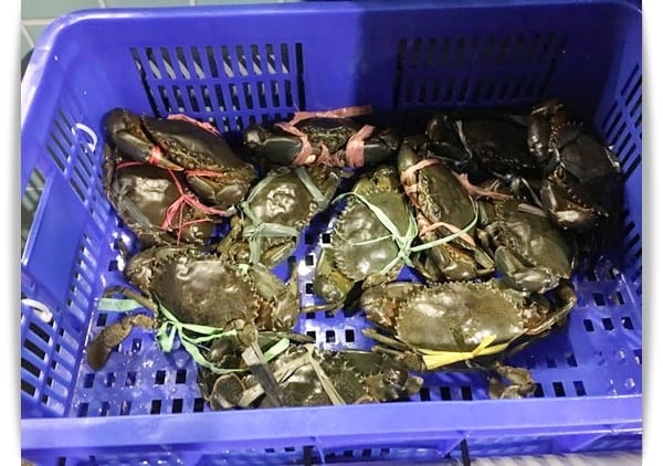 來買菜囉~~好歐式的高級菜市場!! – MLD台鋁生活商場生鮮超市