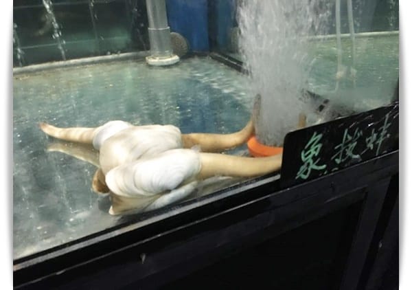來買菜囉~~好歐式的高級菜市場!! – MLD台鋁生活商場生鮮超市