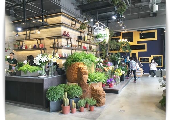 來買菜囉~~好歐式的高級菜市場!! – MLD台鋁生活商場生鮮超市
