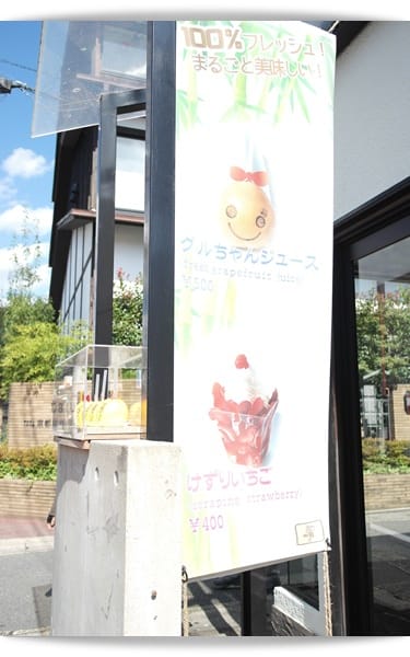 2015年京阪神奈甜蜜遊day2 ♡ 嵐山遊-遇見可愛葡萄柚果汁グルちゃんジュースM