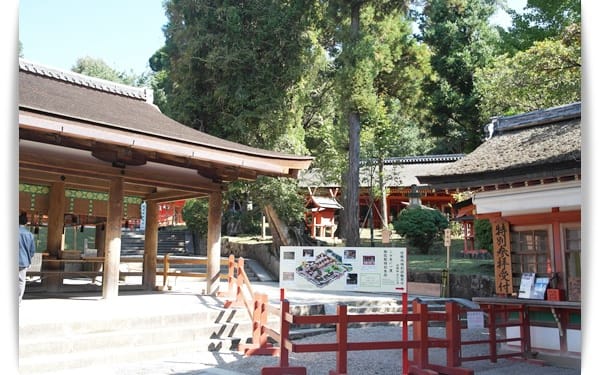 2015年京阪神奈甜蜜遊day2 ♡ 奈良-小鹿餵食驚魂記!! 春日大社散步去~~