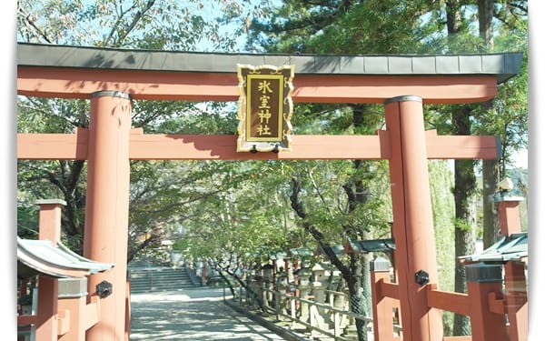 2015年京阪神奈甜蜜遊day2 ♡ 奈良-小鹿餵食驚魂記!! 春日大社散步去~~