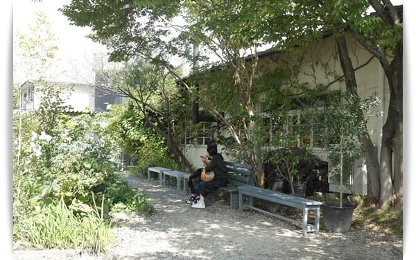 2015年京阪神奈甜蜜遊day3♡奈良-鄉村自然風味小餐館「核桃之木 くるみの木」