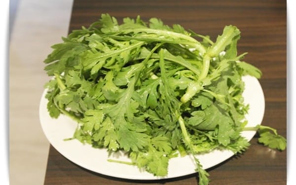 鮮美湯頭、不吃就可惜，北高雄隆重登場「名家汕頭沙茶火鍋左營店」