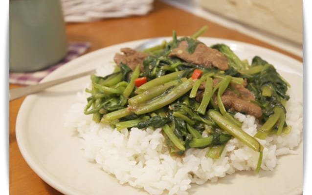 [My Little Kitchen] 咬下鮮嫩多汁漢堡肉，嘴內香氣四溢!! -「番茄大蒜燉漢堡排」