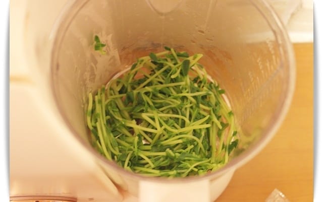 [Baby Food] 豐富蛋白質，好營養「豌豆苗泥」♪