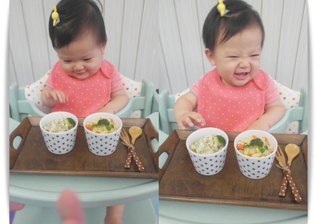 [Baby Food] 濃郁可口，寶寶版「奶油燉雞肉」♪