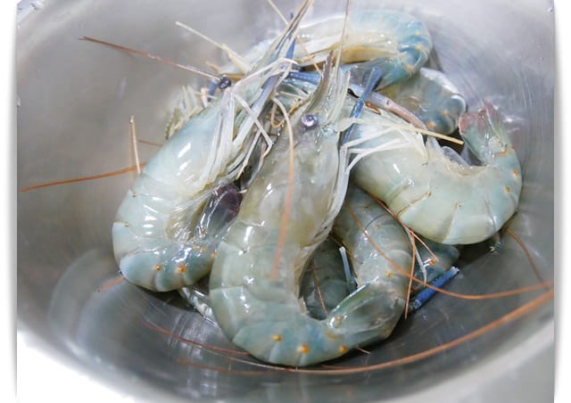 「段泰國蝦」肉質Q彈、新鮮好吃,滿足一家人的味蕾。