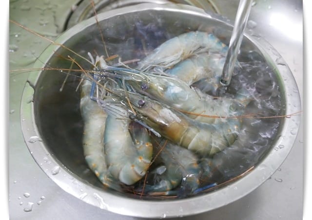 「段泰國蝦」肉質Q彈、新鮮好吃,滿足一家人的味蕾。