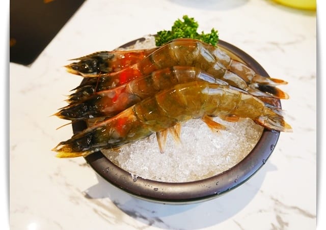 蝦子 蝦子