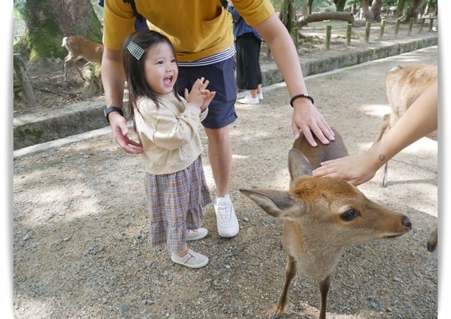 摸