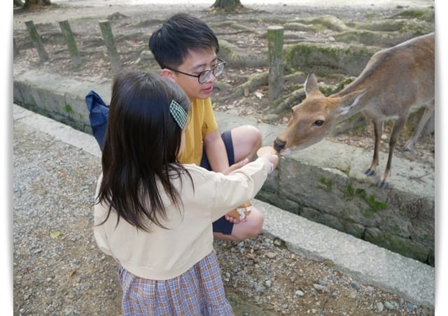 小妞餵