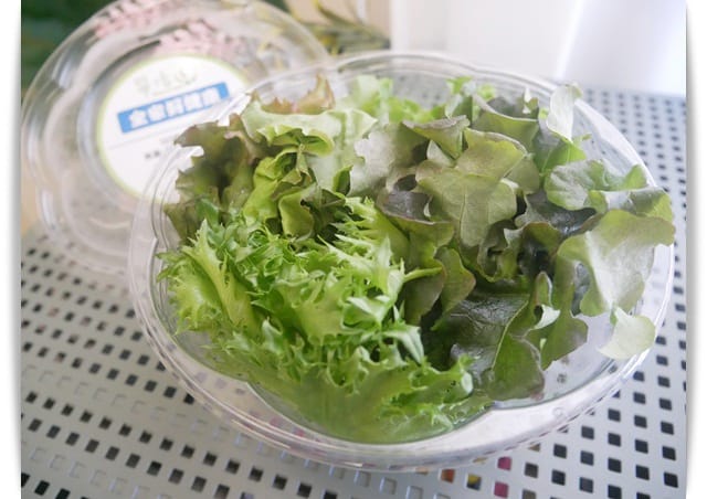 生菜三三 生菜三三
