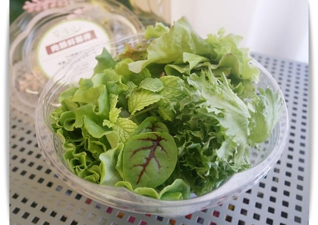 生菜一一 生菜一一
