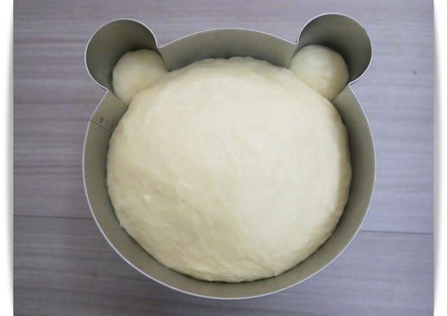 入模 入模