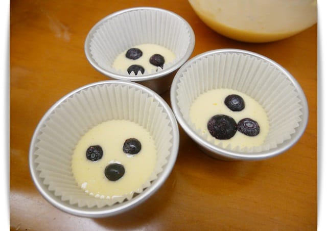 藍莓 藍莓