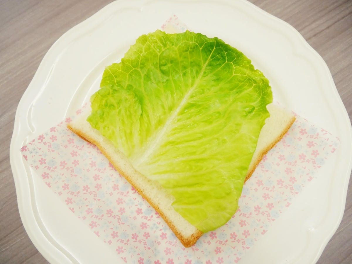 生菜 生菜