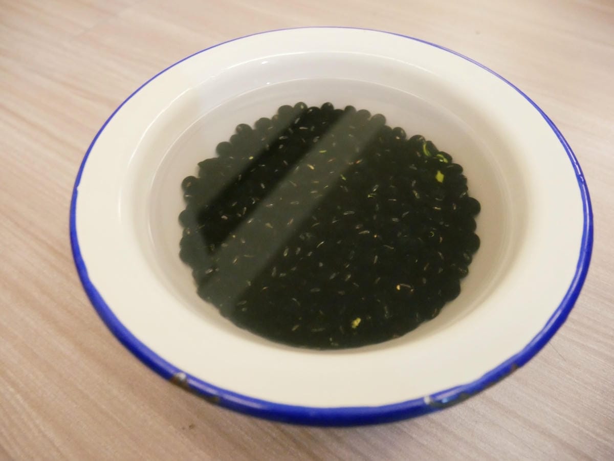泡 泡